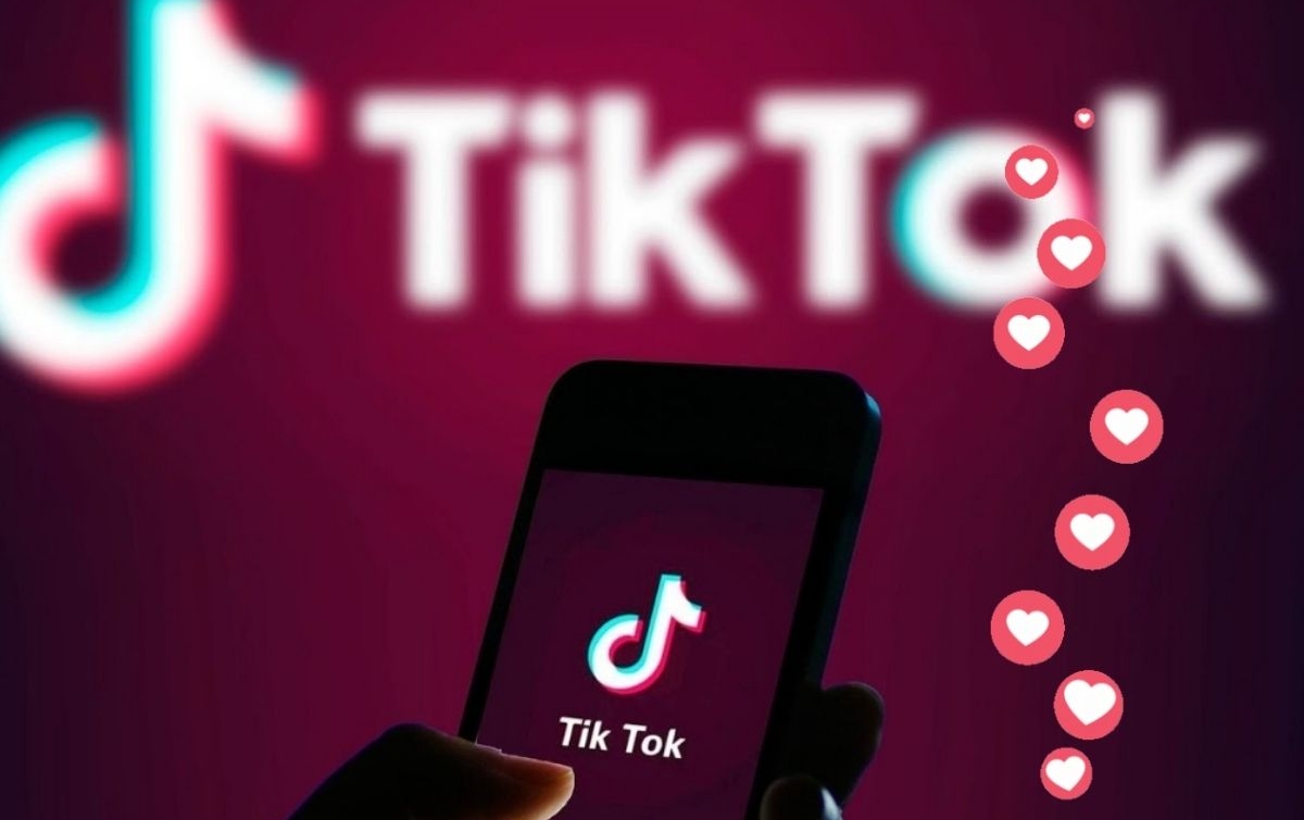 TikTok Downloader